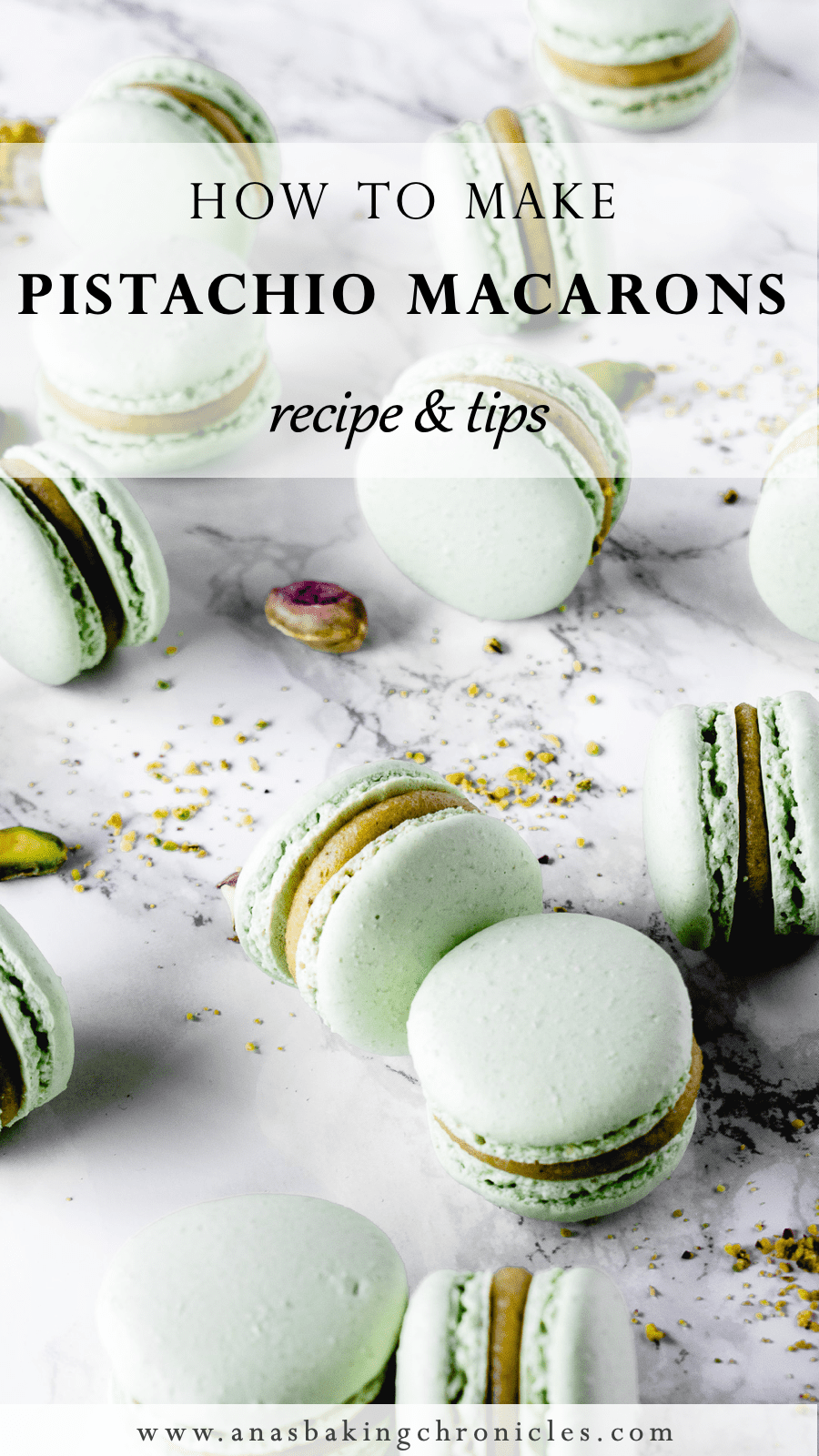 Pistachio Macarons Recipe + TIPS!